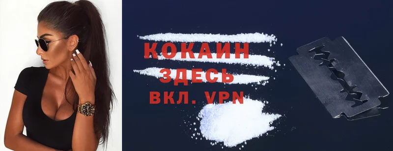 Cocaine VHQ  купить   Шумерля 